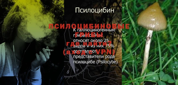 стаф Михайловка