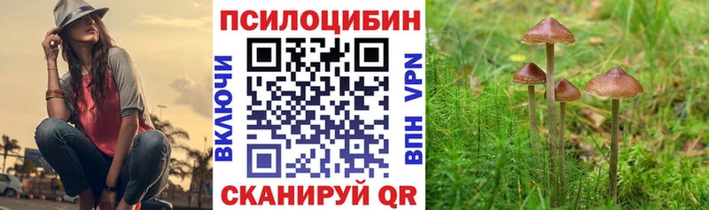 Купить где  Льгов  Псилоцибиновые грибы ЛСД 